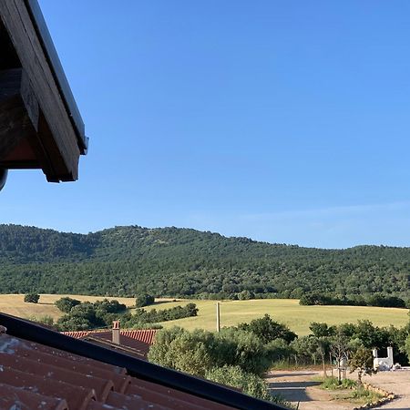Il Poggio Di Musignano Villa Musignano  Kültér fotó
