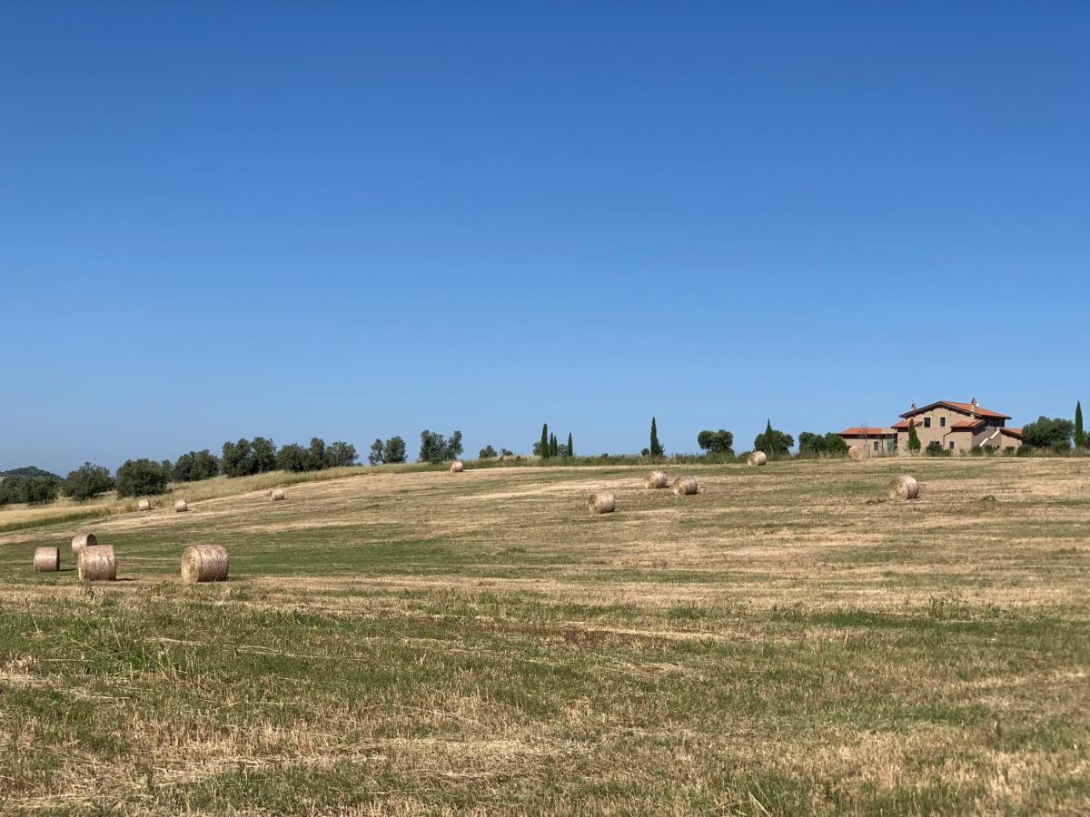 Il Poggio Di Musignano Villa Musignano  Kültér fotó