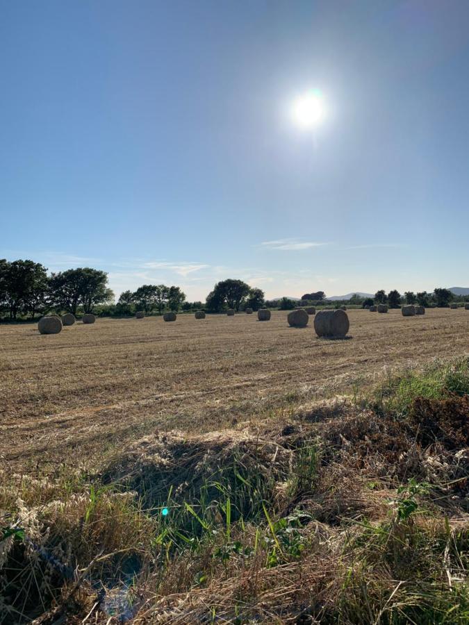 Il Poggio Di Musignano Villa Musignano  Kültér fotó