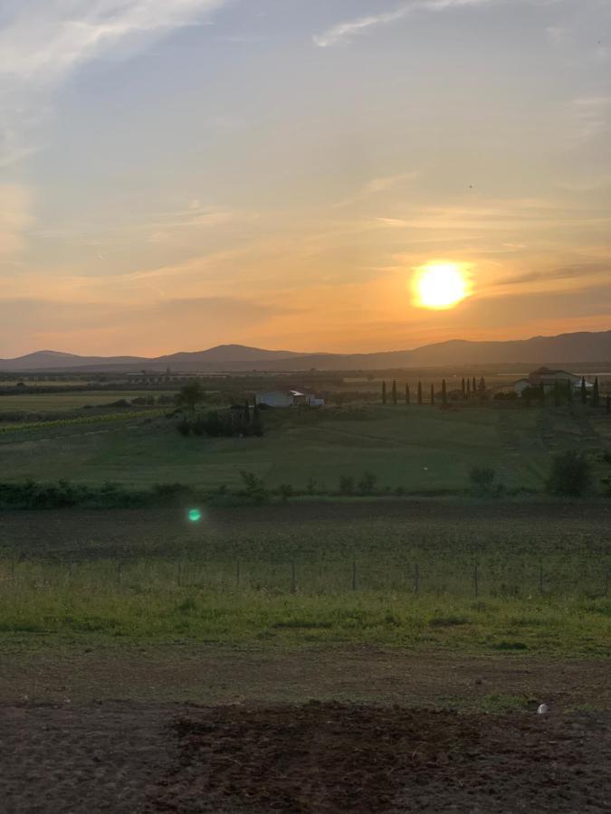 Il Poggio Di Musignano Villa Musignano  Kültér fotó