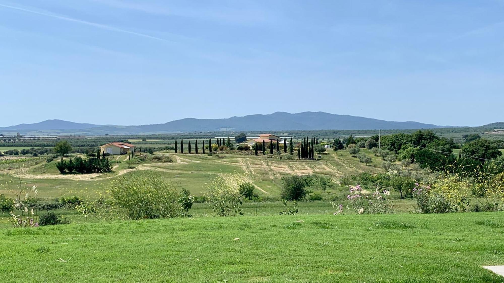 Il Poggio Di Musignano Villa Musignano  Kültér fotó