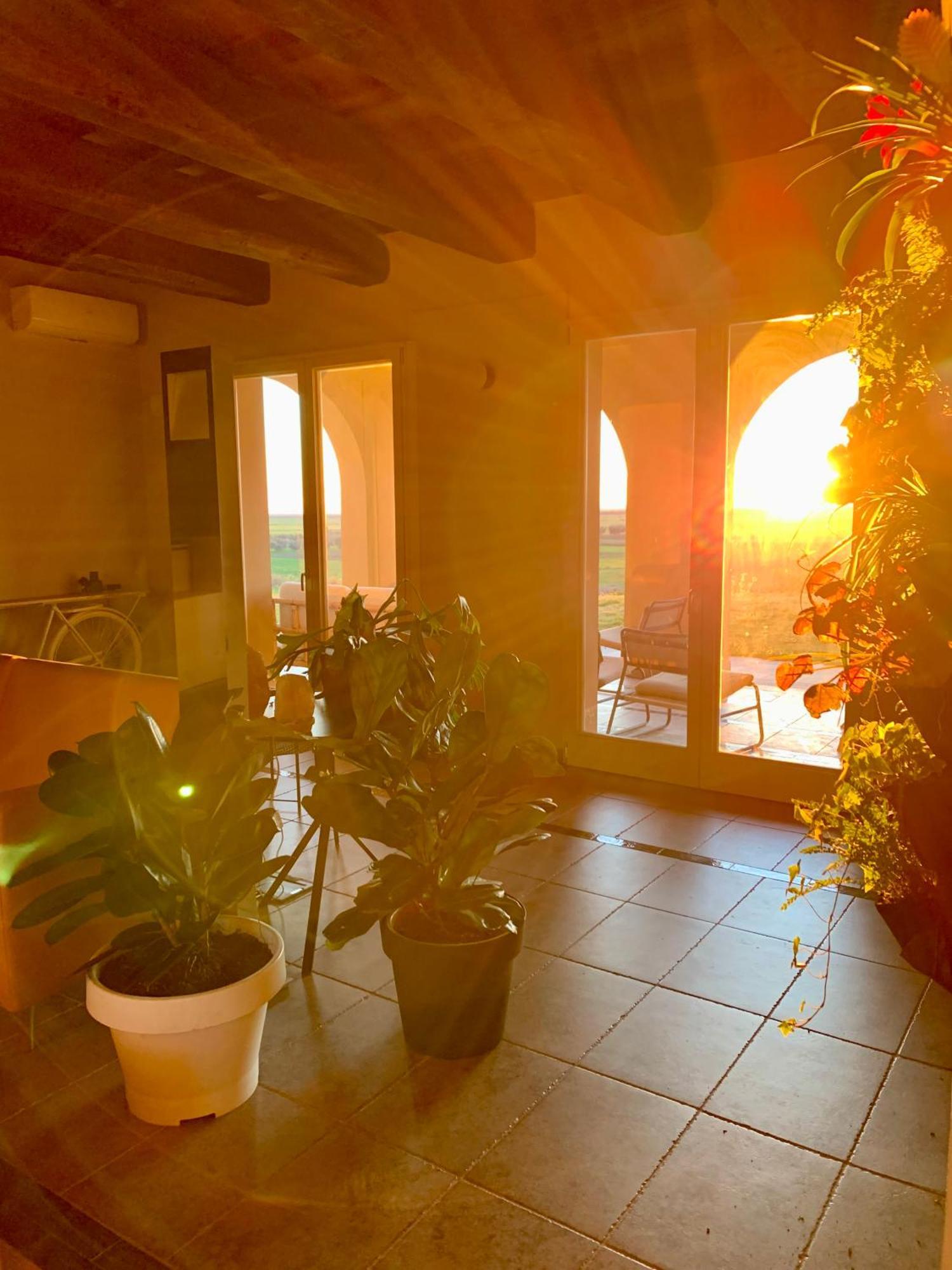 Il Poggio Di Musignano Villa Musignano  Kültér fotó