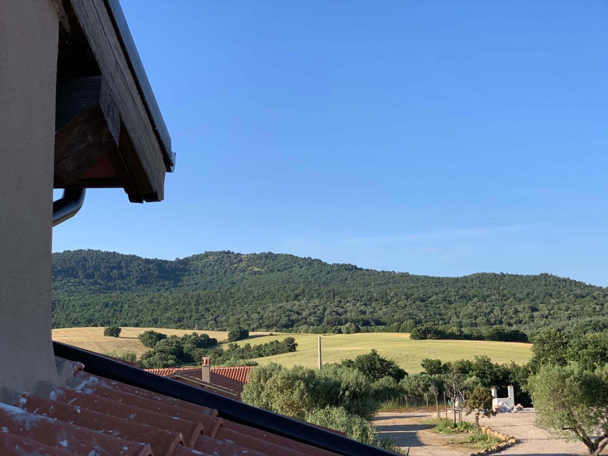 Il Poggio Di Musignano Villa Musignano  Kültér fotó